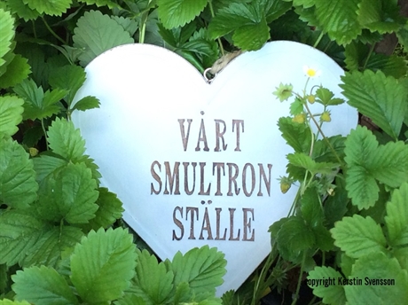 smultron stalle
